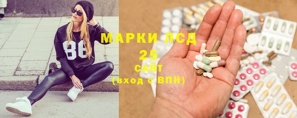 винт Галич