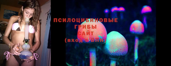 ГАЛЛЮЦИНОГЕННЫЕ ГРИБЫ Гатчина