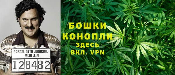 твердый Дмитров