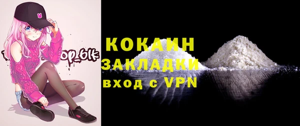 твердый Дмитров