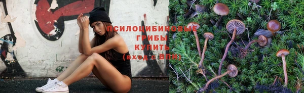 экстази Гвардейск