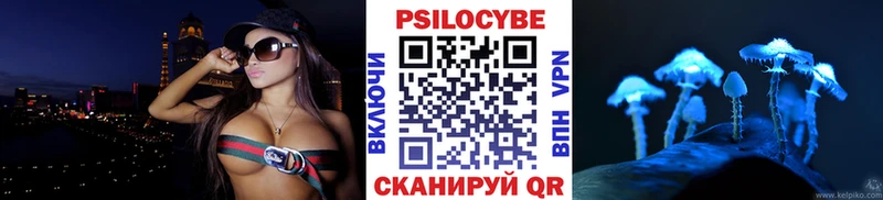 наркошоп  Ермолино  Псилоцибиновые грибы GOLDEN TEACHER 